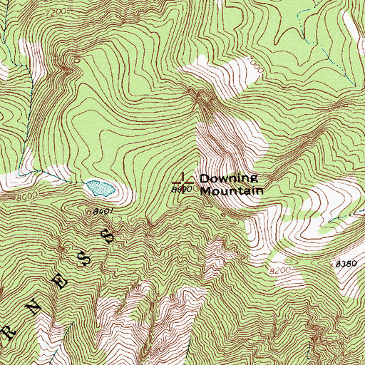 Topographic Map of Downing Mountain, MT