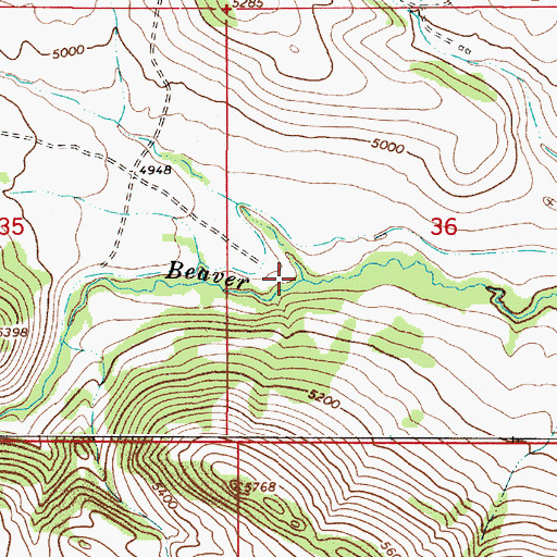 Topographic Map of Dry Beaver Creek, MT