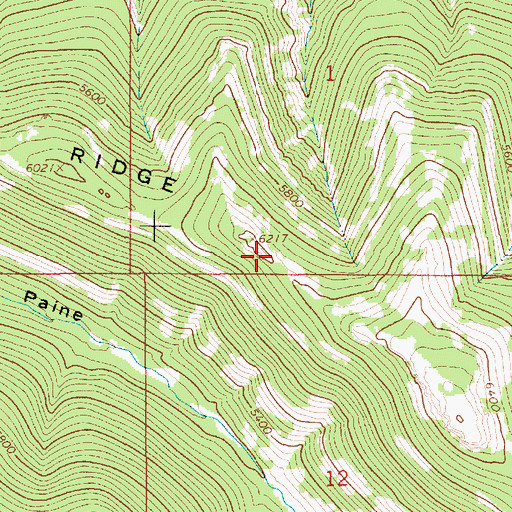 Topographic Map of Dry Ridge, MT