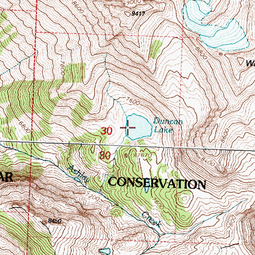 Topographic Map of Duncan Lake, MT