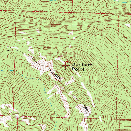 Topographic Map of Dunham Point, MT