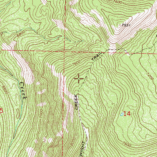 Topographic Map of Dwight Creek Trail, MT