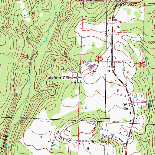 Topographic Map of Salem Cemetery, AR