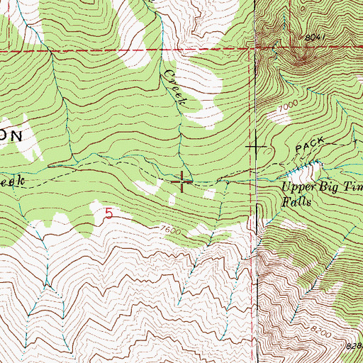 Topographic Map of Eagle Creek, MT
