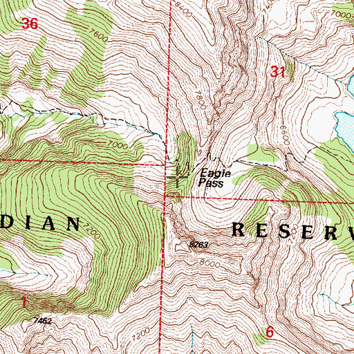 Topographic Map of Eagle Pass, MT