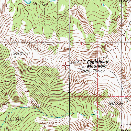 Topographic Map of Eaglehead Mountain, MT