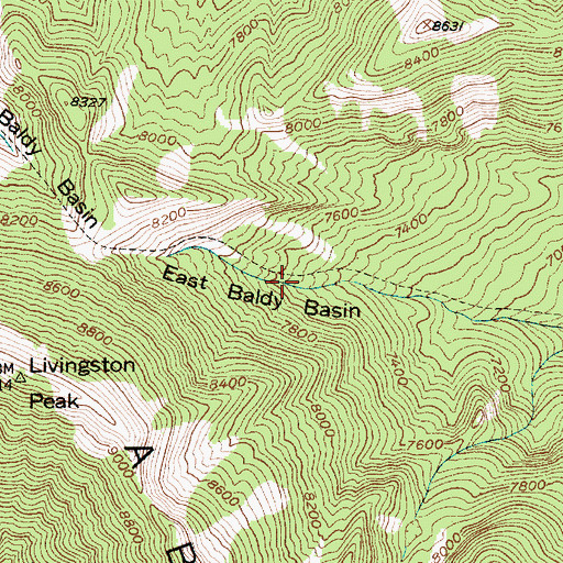 Topographic Map of East Baldy Basin, MT