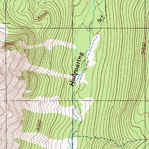 Topographic Map of East Branch Hellroaring Creek, MT