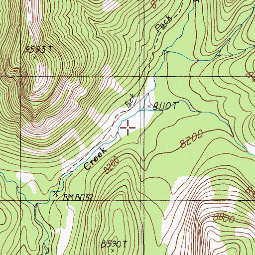 Topographic Map of East Fork Buffalo Fork, MT