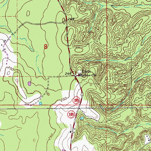 Topographic Map of Saline Baptist Church, AR