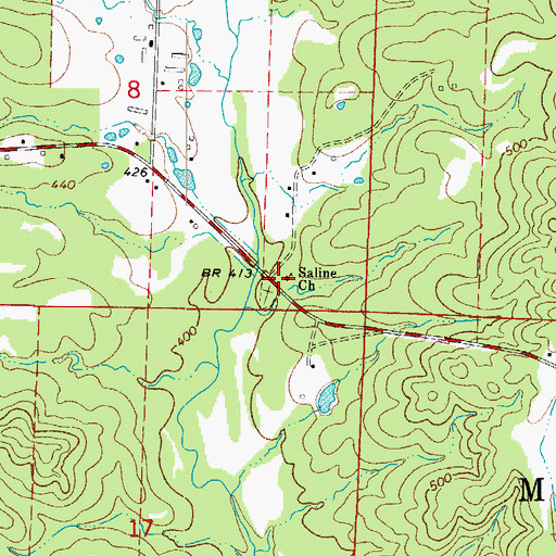 Topographic Map of Saline Church of Christ, AR