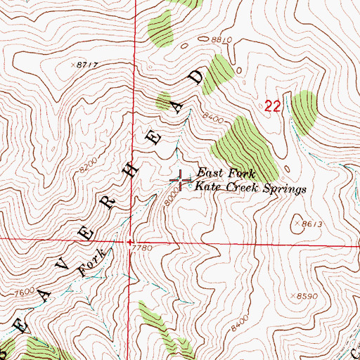 Topographic Map of East Fork Kate Creek Springs, MT