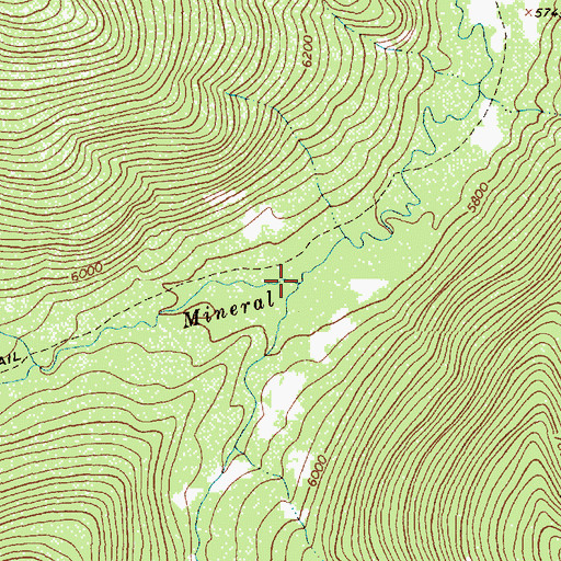 Topographic Map of East Fork Mineral Creek, MT