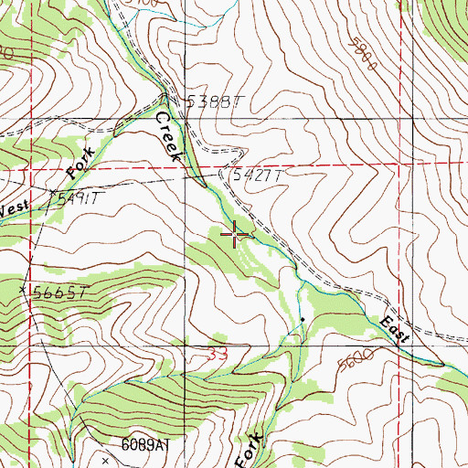 Topographic Map of East Fork Pole Creek, MT