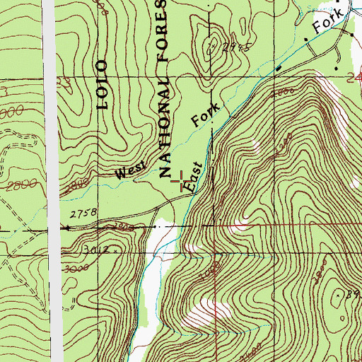 Topographic Map of East Fork Swamp Creek, MT