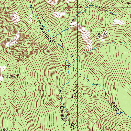Topographic Map of East Fork Wallace Creek, MT