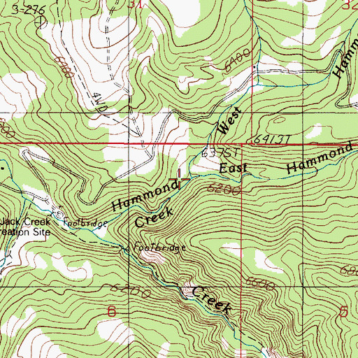 Topographic Map of East Hammond Creek, MT