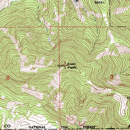 Topographic Map of East Peak, MT