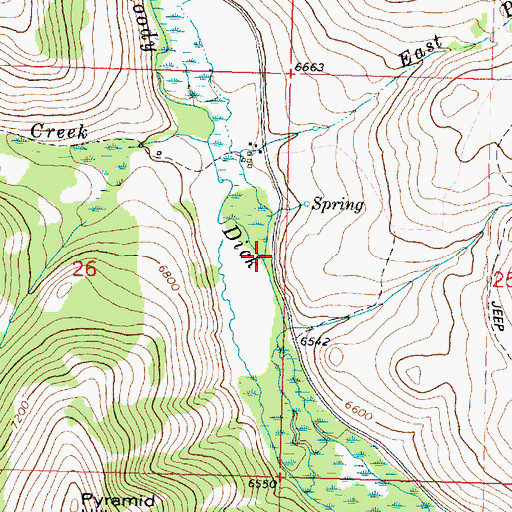 Topographic Map of East Peterson Creek, MT