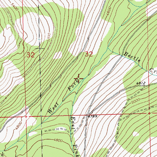 Topographic Map of East Pinkham Creek, MT