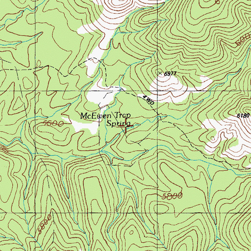 Topographic Map of McEwen Trap Spring, AZ