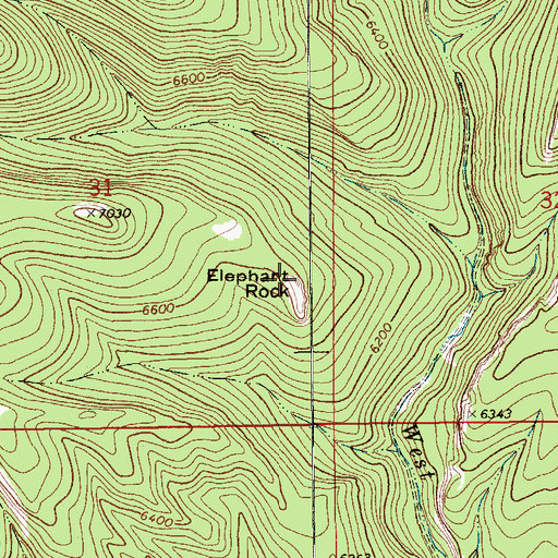 Topographic Map of Elephant Rock, MT