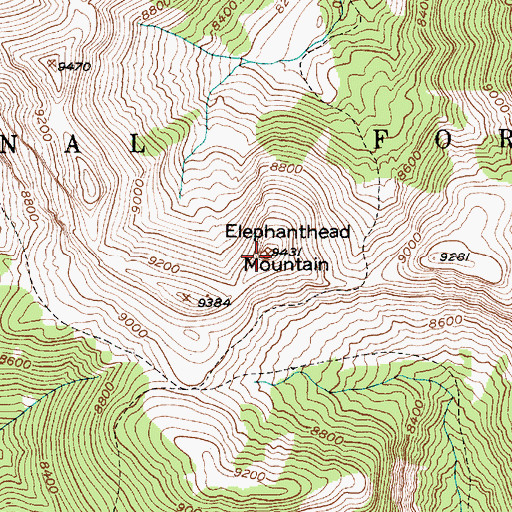 Topographic Map of Elephanthead Mountain, MT