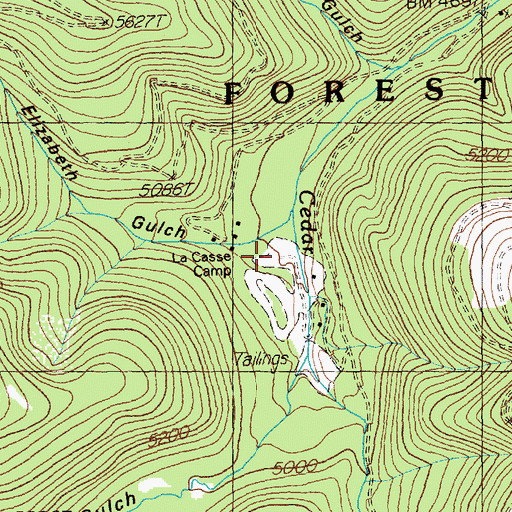 Topographic Map of Elizabeth Gulch, MT