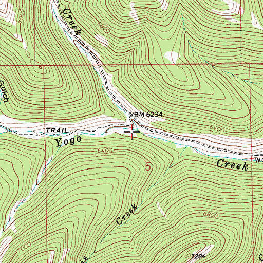 Topographic Map of Elk Creek, MT