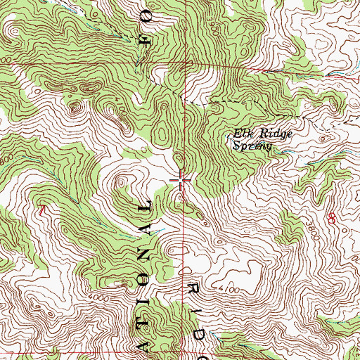 Topographic Map of Elk Ridge, MT