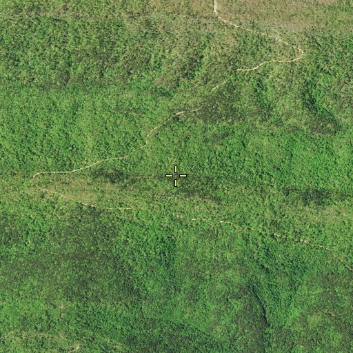 Aerial/Satellite Image of Self Mountain, AR