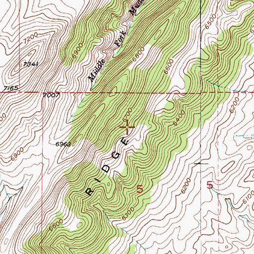 Topographic Map of Elkhorn Ridge, MT