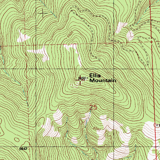 Topographic Map of Ellis Mountain, MT