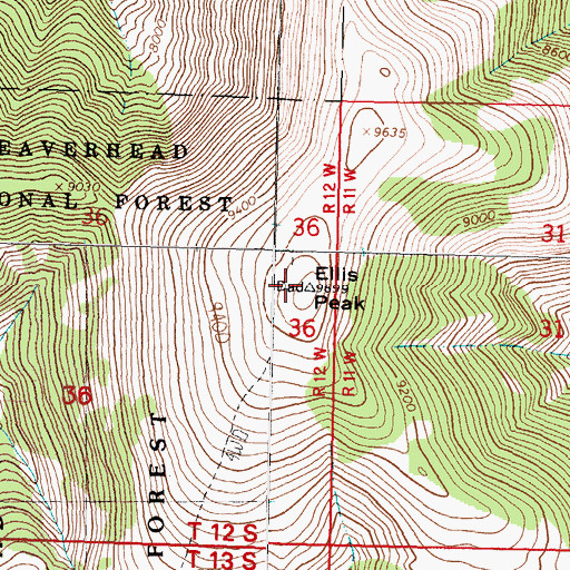 Topographic Map of Ellis Peak, MT
