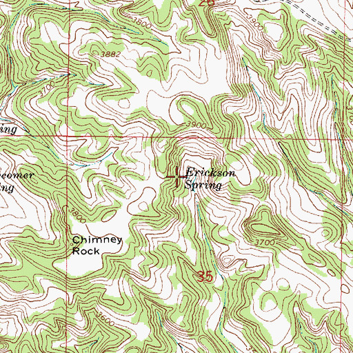 Topographic Map of Erickson Spring, MT