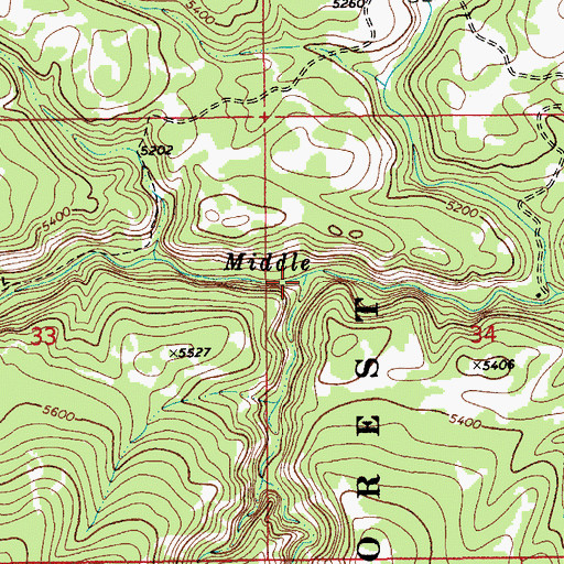 Topographic Map of Ettien Gulch, MT