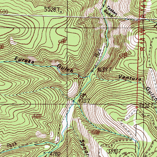 Topographic Map of Eureka Gulch, MT