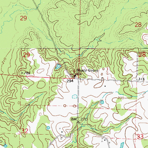 Topographic Map of Shady Grove Baptist Church, AR