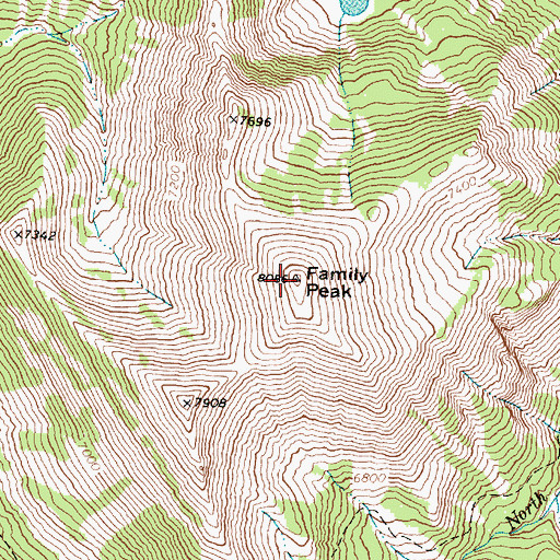 Topographic Map of Family Peak, MT