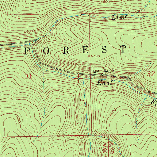 Topographic Map of Fast Creek, MT