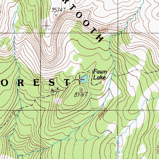 Topographic Map of Fawn Lake, MT