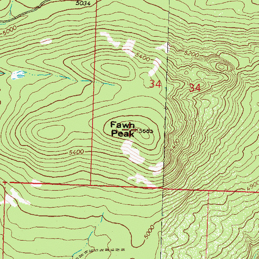 Topographic Map of Fawn Peak, MT