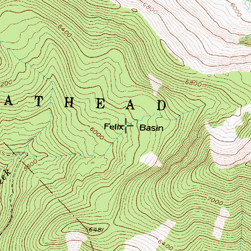 Topographic Map of Felix Basin, MT