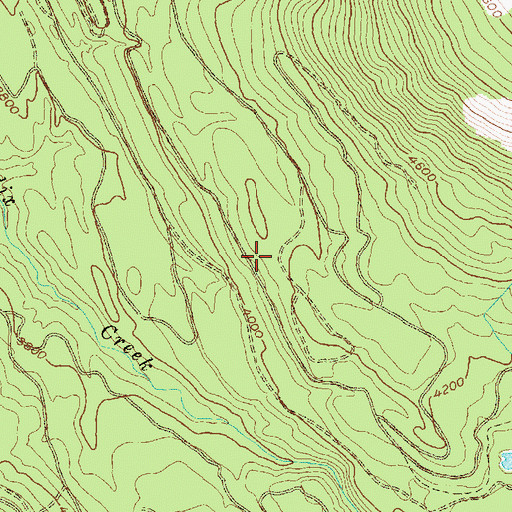 Topographic Map of Felix Basin Trail, MT