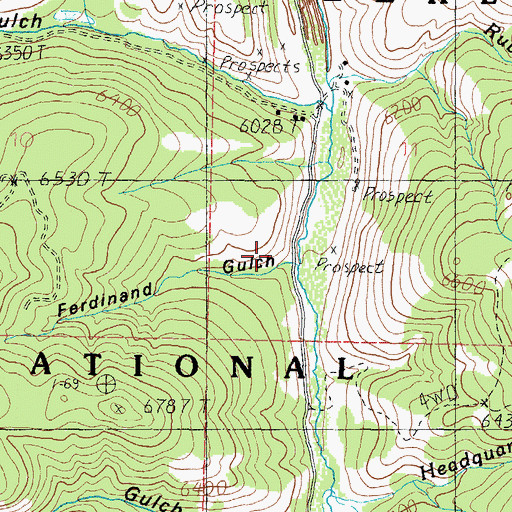 Topographic Map of Ferdinand Gulch, MT