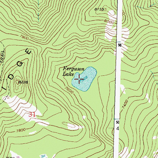 Topographic Map of Ferguson Lake, MT