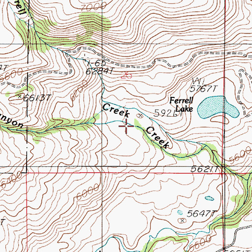 Topographic Map of Ferrell Creek, MT