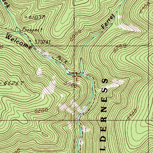 Topographic Map of Ferret Creek, MT