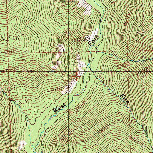 Topographic Map of Fire Creek, MT