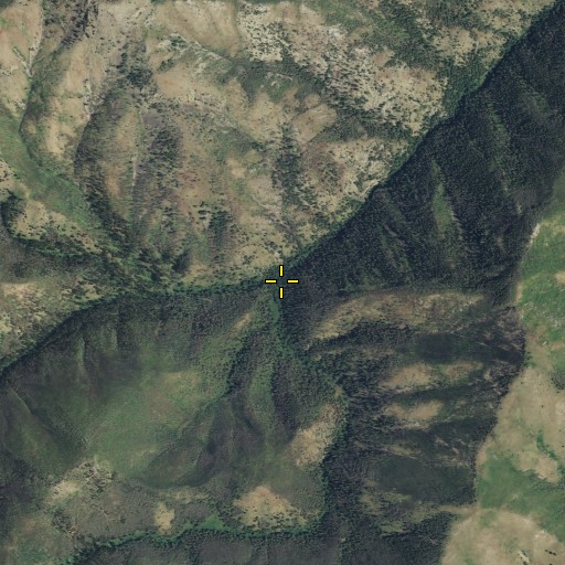 Aerial/Satellite Image of Fire Gulch, MT